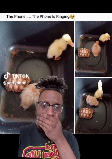 Nah this brought back 🥹… #pettynorm