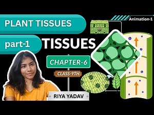 Tissues Class 9 | Plant Tissues Easy Explanation | Science Chapter 6 in Hindi With Animations