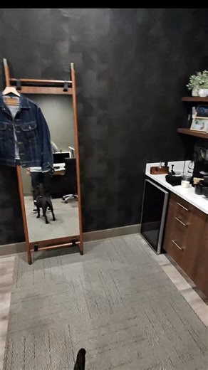 Miss Mabel The Lab on Instagram: "Quick training circuit at the office. Here’s a few of the commands Mabel knows. #dogtraining #labrador #puppy"