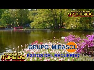 GRUPO MIRASOL - ÉXITOS DEL RECUERDO, CHAVOS DE HOY, MIGAJAS, DOLOR DEL ALMA, PENSARÉ EN TI / VETE