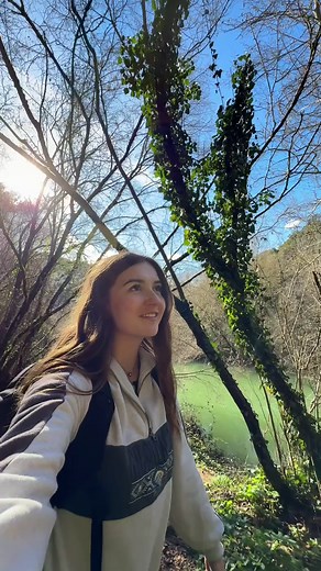 Découverte du Mimosa à Pégomas cet hiver