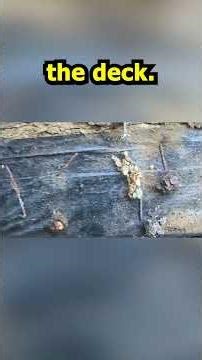 Replacing Ridge Beam Part 3 #Shorts