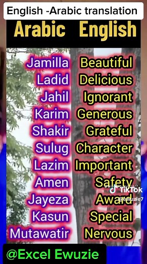 Ewuzie على TikTok