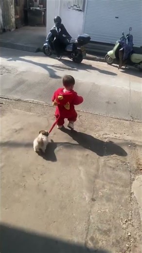 6591: Dog becomes baby’s guardian by pulling him from roadside danger
