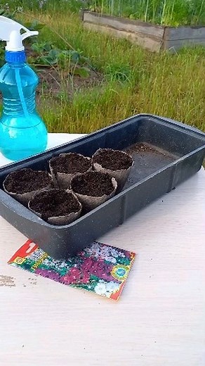 Are you interested in the news of my green garden? 😊 It is the middle of summer now and I have planted many new flowers. Some young sprouts have already appeared. This is my favorite part: seeing the incredible power of plants. They are growing so fast, they are taking over this world and my heart. 💚 | Ursula Jewelry