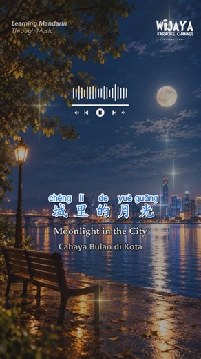 若有一天能重逢 🌙 | 城里的月光 | 许美静 | Mandarin Karaoke #Shorts