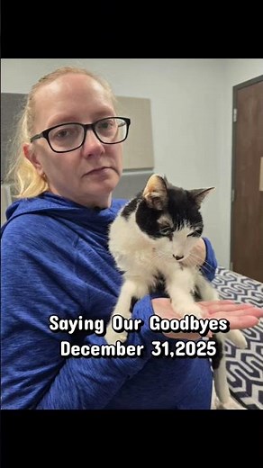 Saying Goodbye #viral #cat #sayinggoodbye #catshorts #catvideos #cats #catlovers #sad #walmart #love