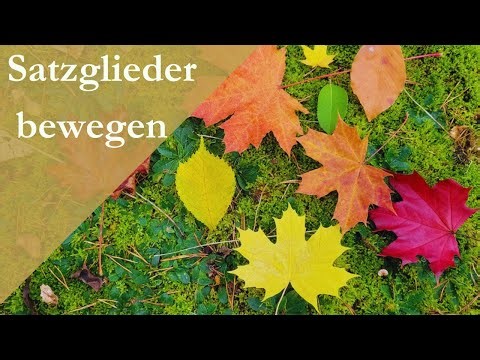 Wie können wir Satzglieder bewegen? Der deutsche Satzbau. (deutsche Grammatik B1)