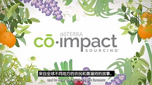 🌿 Pursue What’s Pure – The dōTERRA Difference 💜 In a market flooded with essential oils of questionable origin, purity and ethics matter. Many brands don’t know—or don’t care—where their oils come from. Since 2008, dōTERRA’s Co-Impact Sourcing has set a higher standard: 1️⃣ Direct partnerships with farmers & distillers 2️⃣ Fair labor, job creation & community projects 3️⃣ Environmental stewardship & sustainability Every drop is traceable, tested, and proven—so you can be confident your purchas