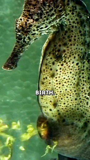 This is Amazing 🤯 | Mr Scientific