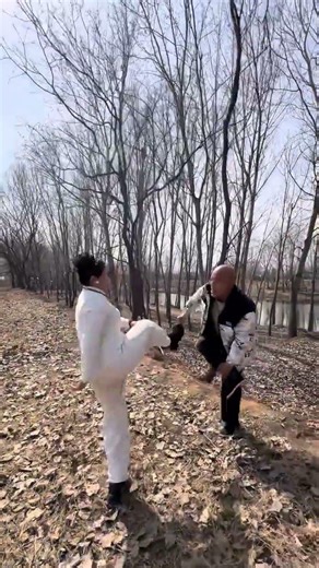Shaolin's Strength Meets Wudang's Elegance: A Dynamic Showdown