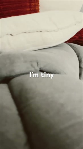 Why am I so short???!!!