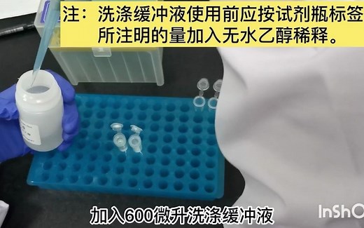 DNA片段的酶切、回收、连接及重组子鉴定