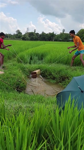 "No Machine, Only Hands 💦 Real Village Irrigation #USA #UnitedStates"