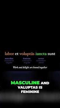 Latin Adjectives: Master Case, Gender, and Number #latin #aplatin #languagelearning