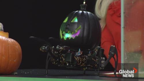 Halloween experiments for the scariest of nights