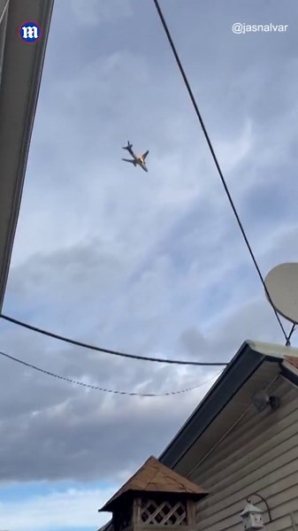 FedEx plane spews flames from engine after suffering bird strike