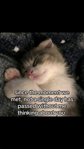 #fyp #post #awh #cute | thinking about you