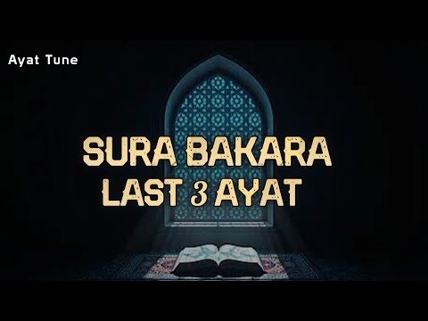 Amana Rasul | Surah Baqarah ( Last 2 verses 285-286 ) Amana Rasul To Memorize