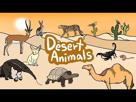 Desert Animals | Let's Learn Desert Animal names in English | Kids Draw