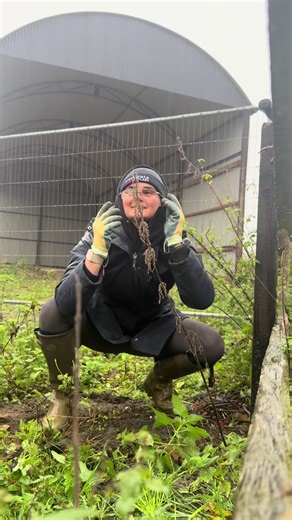 Renovating our new arena part 1! Bit of rain few nettle stings and I did 1/4 stay tuned for part 2 ✌🏻