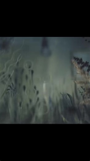 SARCOMA HORROR - Barracuda: An Animated Experience