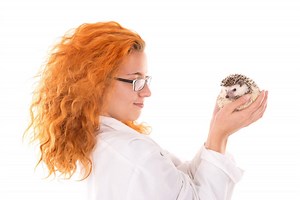 Is Your Hedgehog Unhappy? Here's How to Tell.