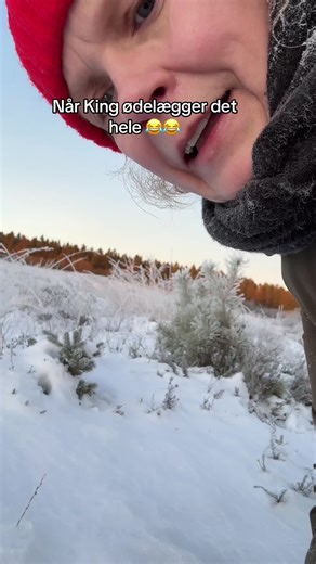 King the Dog's Hilarious Mischief