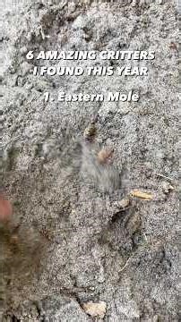 You won’t believe number six… #snakes #animals #herping