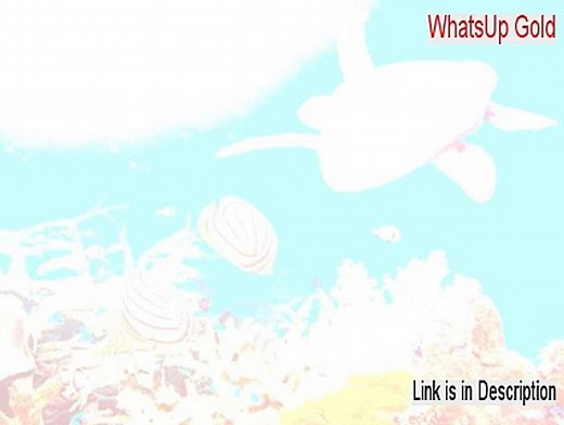 WhatsUp Gold Crack [whatsup gold tutorial]