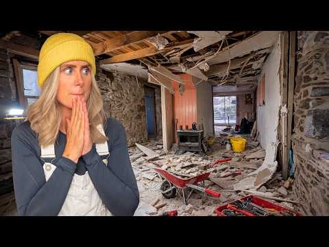 What have we done...