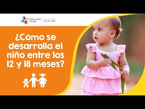 ¿Cómo se desarrolla el niño entre los 12 y 18 meses?