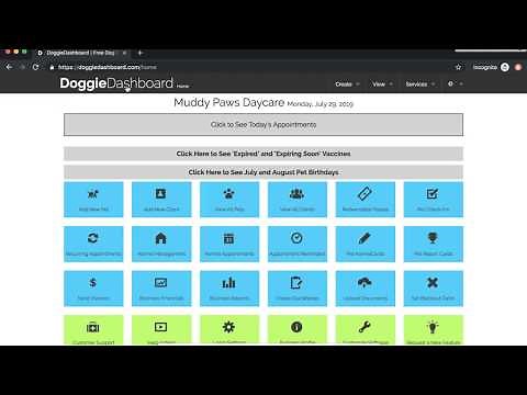 DoggieDashboard Overview Video