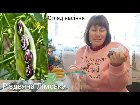 ОГЛЯД НАСіННЯ Овочевих 2026