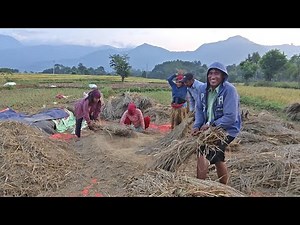 Rare Village Traditions That Still Exist Today! #rural #villagelifenepal #traditionallife #nepal