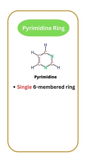 Purine vs Pyrimidine Made Easy 🧬 | Medicinal Chemistry | B.Pharm | D.Pharm | GPAT