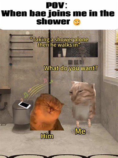 When bae joins me in the shower #cat #catmemes #moving #fyp #abstractart