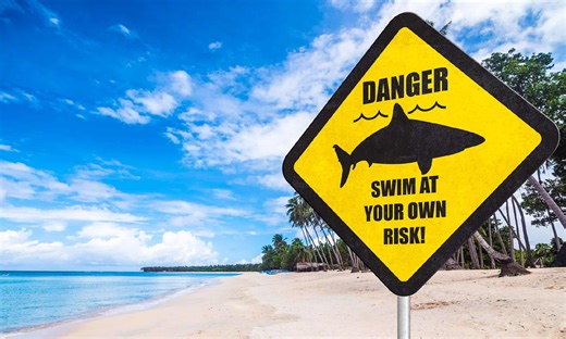 Earth's Most Shark-Infested Beaches