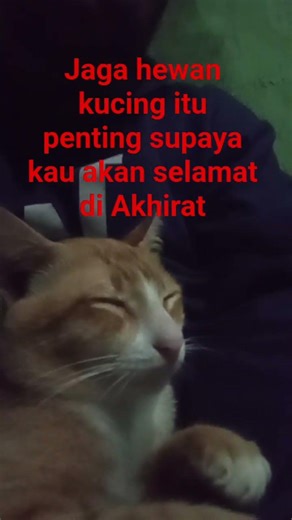 20 Februari 2026
