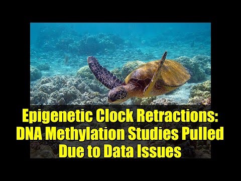 Epigenetic Clock Retractions: DNA Methylation Studies Pulled Due to Data Issues
