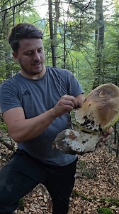 13M views · 208K reactions | Daca iti place, Like & Share #mushrooms #funghi #porcini #boletus #edulis #asmr #matsutake #ciuperci #гриби #grzyby #hribi #pilze #cepes #houby #hongos #เห็ด #gomba #гъби #Грибы #mantarlar #cogumelos #fungi #मशरूम #মাশরুম #nấm #hongos #setas | King Mushrooms | Facebook