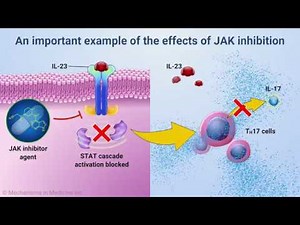 Medical Narration: Mechanism of Action of JAK Inhibitors - VO by Rory O'Shea