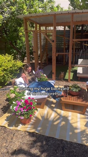 Transform Your Backyard into a Cat Paradise