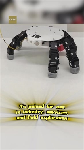 What is 'dexterous hand'? See how the new detachable crawling robotic hand performs dual-sided and human-like grasping tasks, opening up more possibilities for operations in tight spaces! #robot #China | CGTN Global Business