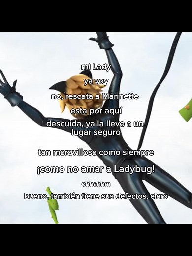 Cat Noir y Ladybug: Un Amor Maravilloso