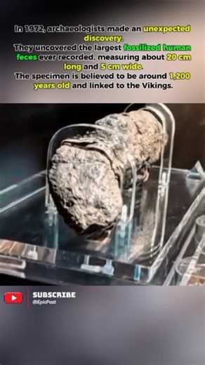 The Largest Viking “Coprolite” Ever Discovered? #epicpast #history