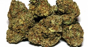 Wonder Woman OG | Marijuana Strain Reviews