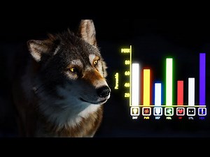 Are Wolves Nature’s Cheat Code - The Truth About Their Power