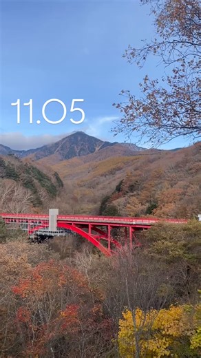 ． 🍂清里の秋便り🍂 赤く染まる東沢大橋と色づく木々が、 清里の秋を鮮やかに彩っています🍁 澄んだ青空のもと、 季節は少しずつ冬へと歩みを進めています。 八ヶ岳の自然とともに移ろう清里の風景を、 ぜひお楽しみください。 ----- 📍東沢大橋（清里） ----- 【Autumn in Kiyosato】 The Higashizawa Bridge, glowing in brilliant red, stands out beautifully among the colorful autumn leaves. 🍂 Under the clear blue sky, Kiyosato’s scenery gently transitions from autumn to winter. Enjoy the changing seasons and the magnificent nature of Yatsugatake. ． ． #清里 #東沢大橋 #八ヶ岳 #山梨観光 #紅葉 #清里観光協会 #清里高原 #山梨旅 #kiyosato #yatsugatake #autu