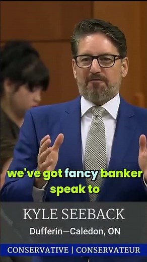 Conservative MP Kyle Seeback Destroys Liberal Banker Spin